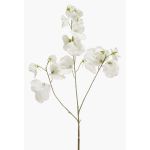 Lathyrus artificial KANZI, crema, 75cm