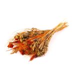 Ramo de espigas seco COVENTINA, naranja-natural, 65cm, Ø23cm