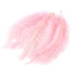 Plumas de avestruz decorativas naturales PIPPIN, 5 unidades, rosa pálido, 55-70 cm