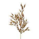 Rama decorativa de avena lisa SNOLHE con espigas, marrón, 65 cm