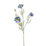Rama decorativa de comino negro JENNIE, azul, 70 cm