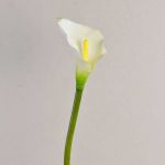 Lirio de agua sintético SUSANA, blanco, 70cm, 8x12cm