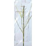 Rama de bambú artificial HARUTO, 105cm