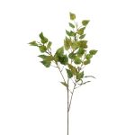 Rama decorativa de abedul NERIS con flores, verde, 95 cm