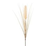 Panícula de hierba de la pampa artificial WALNIN, beige, 100 cm