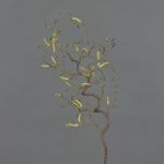 Rama de avellano artificial XANCHO, con amentos, marrón, 65cm