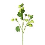 Rama artificial de lúpulo DRIHOL con flores, verde, 75 cm