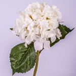 Hortensia flor de simulación GABRIELLA, crema, 50cm, Ø18cm