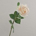 Rosa artificial KAILIN, crema-rosa, 65cm