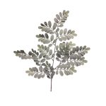 Rama decorativa de robinia WENLIN, gris-verde, 70cm