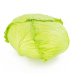 Coliflor falsa RAHEL, verde claro, 10cm, Ø17cm
