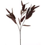 Rama decorativa de eucalipto YUZIMO con semillas, color burdeos, 80cm