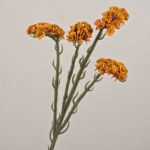 Flor artificial limoncillo AYISHA, aspecto seco, naranja, 65 cm