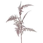 Rama decorativa de espárrago plumosus GIONA, rojo oscuro, 85 cm