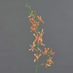 Rama de orquídea Cattleya artificial TRASSA, naranja-amarillo, 80 cm