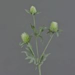Rama de cardo artificial SVEA, verde, 40cm, Ø2-3cm