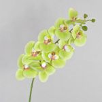 Rama de Phalaenopsis artificial OPHELIA, verde-fucsia, 100cm, Ø12cm