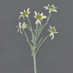 Ramillete de delweiss artificial SOPHIA, blanco, 40cm, Ø5-6cm