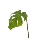 Hoja de Philodendron artificial LANDER, verde, 55cm