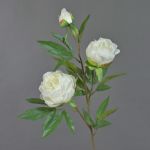 Rama de peonía artificial MANJA, blanco, 70cm, Ø8-10cm