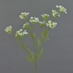 Rama de eneldo artificial WINCENT, blanco-verde, 80cm
