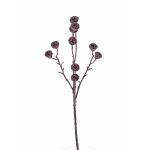 Rama de eucalipto artificial BASILIUS con frutas, marrón, 60cm