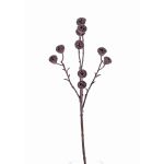 Rama de eucalipto artificial BASILIUS con frutas, marrón, 60cm