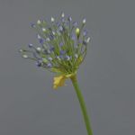 Allium artificial KATYNA, azul, 70cm