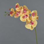 Rama de orquídeas phalaenopsis artificial NEITH, naranja-fucsia, 85cm