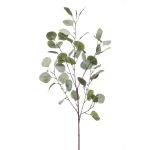 Rama de eucalipto artificial COLTON, verde-gris, 85cm