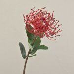 Protea artificial BAILY, rojo, 50cm, Ø12cm