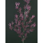 Rama de alerce artificial FLEKY, brillo, lila, 75cm