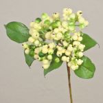 Rama artificial de saúco HELMA con bayas, crema-verde, 30cm
