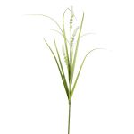 Rama decorativa de hierba para limpiar lámparas KOVLIN con panículas, verde crema, 65 cm