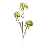 Rama artificial allium GLORF, verde-blanco, 60 cm