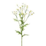 Rama decorativa de manzanilla GRUHEL, blanca, 60 cm