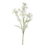 Rama decorativa de manzanilla WISOP, blanco, 75 cm