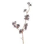 Rama artificial de eucalipto SOHA con frutos, marrón oscuro, 60cm