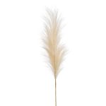 Espiga artificial de hierba de la pampa AMATSIA, crema, 115cm