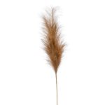 Espiga artificial de hierba de la pampa AMATSIA, marrón, 115cm
