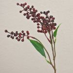 Rama de saúco artificial TEITH con frutos, rojo burdeos, 40cm