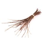 Manojo de ramitas KAUKO, natural, 40-70cm