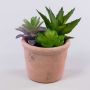 Arreglo de suculentas artificiales DANGELO en maceta de terracota, verde-violeta, 19 cm
