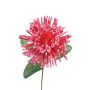 Flor artificial Protea, espuma plástica ISLARTINA, rojo-rosa, 75 cm