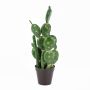 Cactus de plástico AZURRO, en tiesto decorativo, verde, 55cm