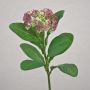 Flor artificial de sedum telephium EILIDH, rosa-crema, 30 cm