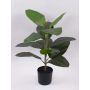 Árbol de caucho artificial FRODELINDE, tronco artificial, verde, 60cm