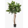 Árbol de caucho artificial ADORU, tronco natural, verde, 155 cm