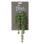 Senecio artificial NELLAS, varilla, verde, 35cm