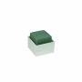 OASIS® Esponja húmeda rectangular para arreglos florales, en bandeja de plástico, verde crema, 6 x 6 x 5,5 cm